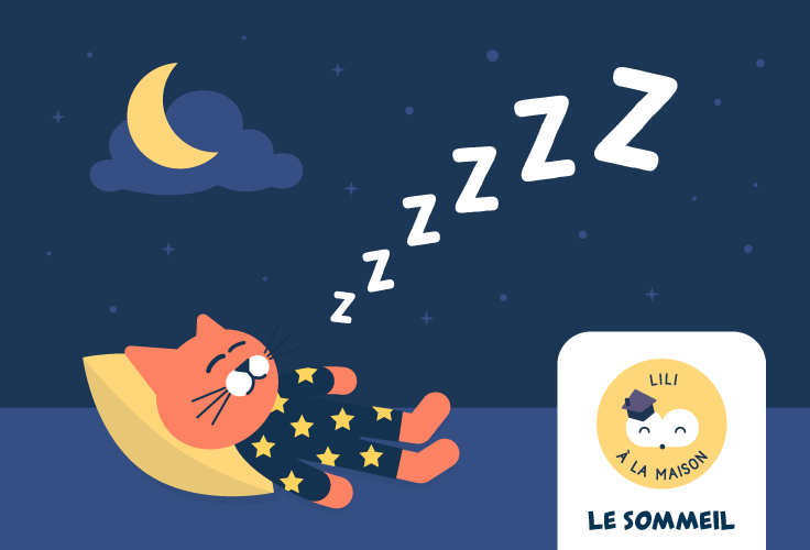 chat mascotte de Lili qui dort