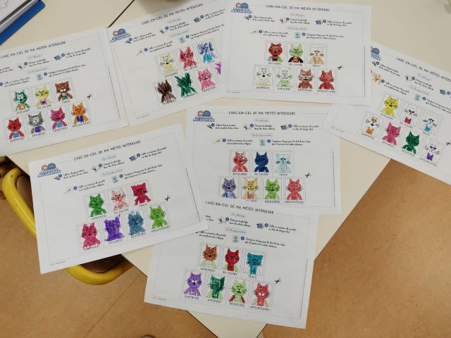 visuel des chats coloriés