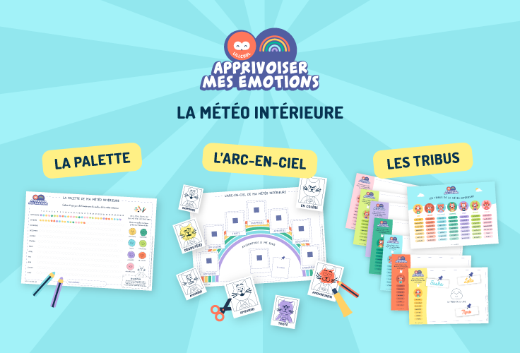 visuel des 3 formats de la météo des émotions